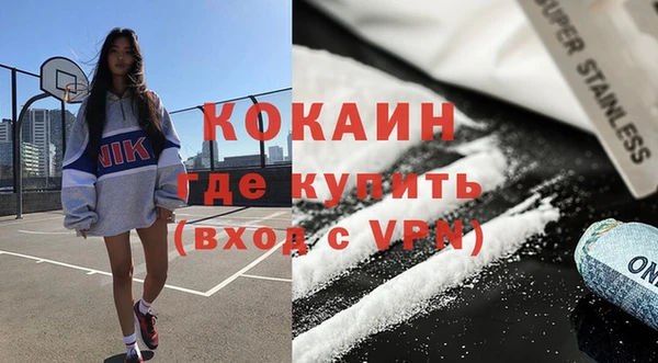 амф Горняк