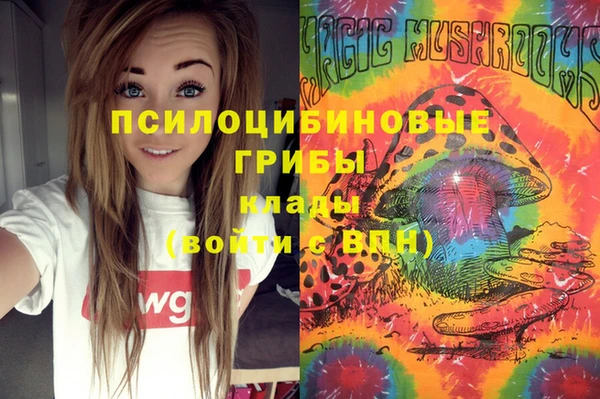 бошки Горно-Алтайск