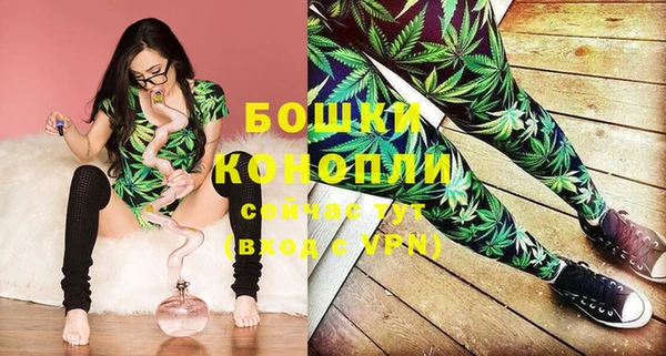 амф Горняк