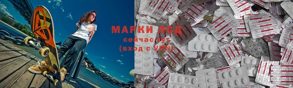 гидропоника Горнозаводск