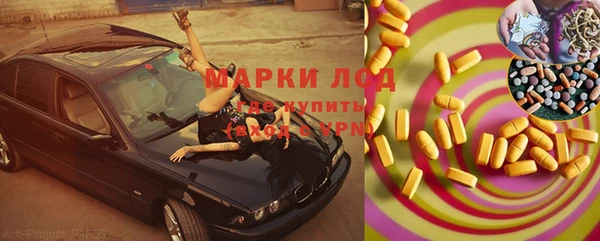 гидропоника Горнозаводск